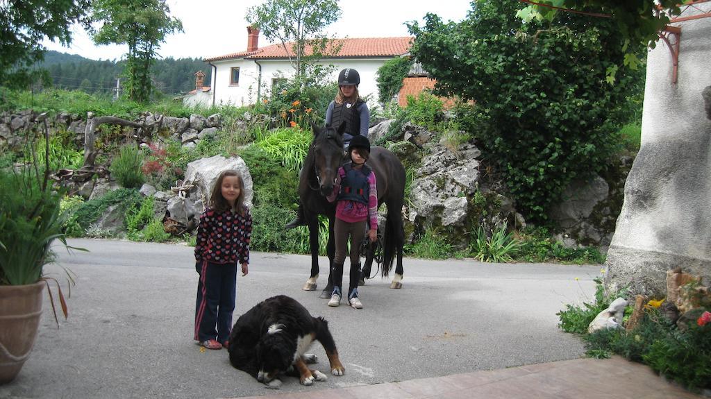 Tourist Farm Dujceva Domacija Villa Vremski Britof Dış mekan fotoğraf